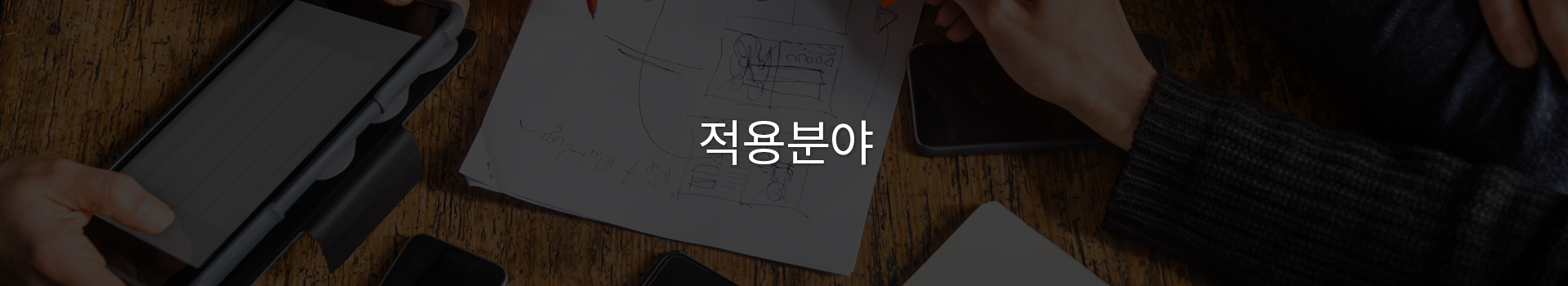 적용분야